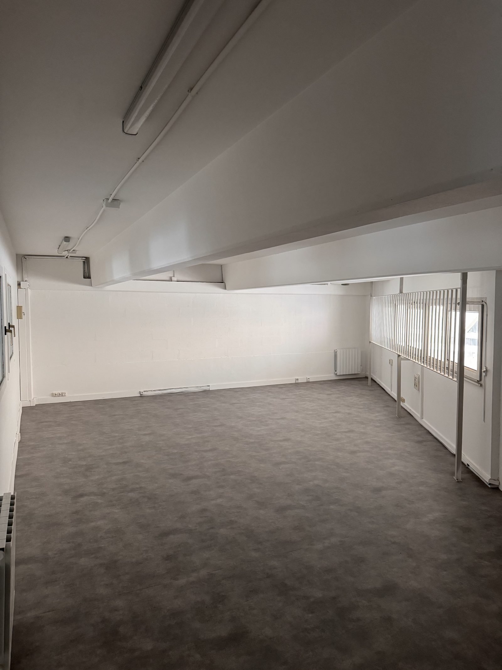 Local professionnel — rénovation